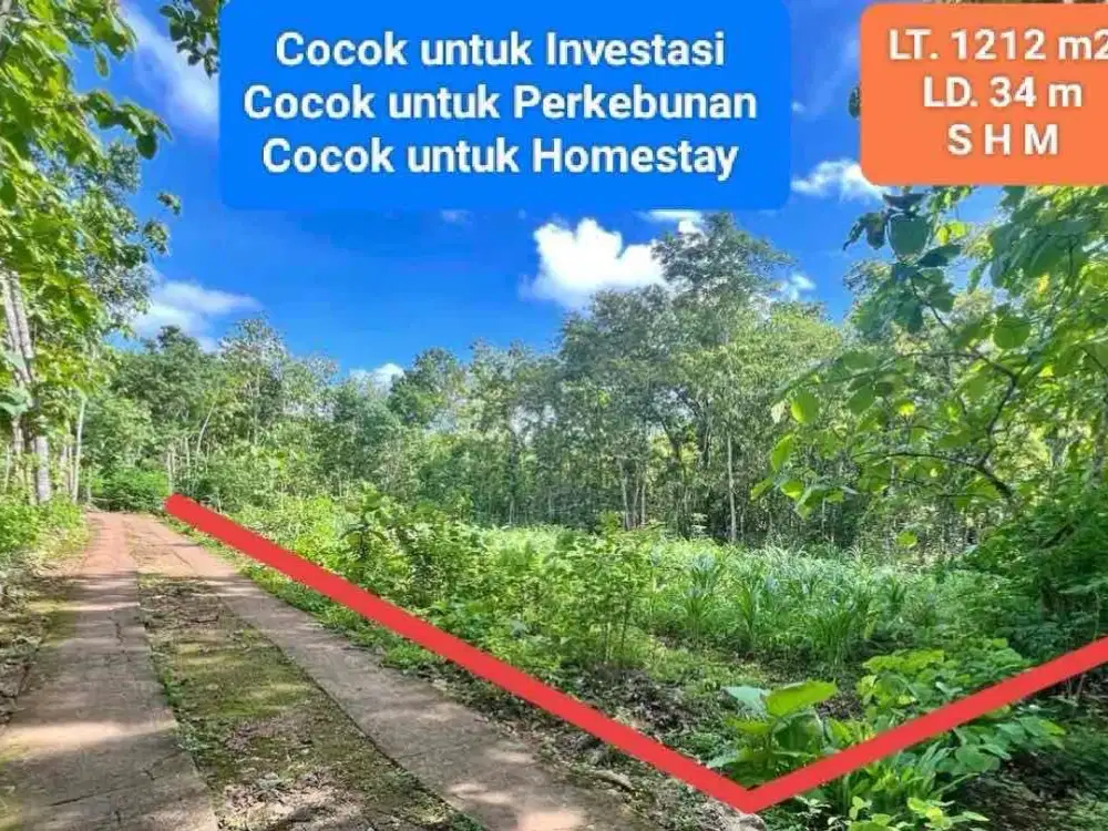 Dijual tanah murah subur shm di Grogol Utara Kota Wonosari Gunungkidul Yogyakarta 125 JT nego