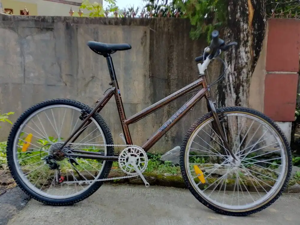 Sepeda MTB lady Jadul R26'.