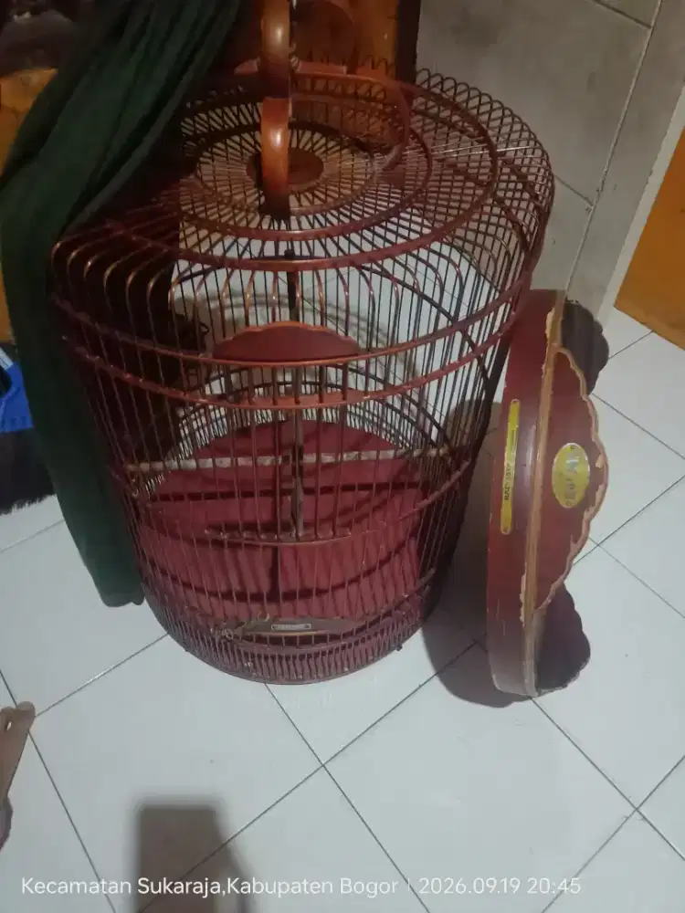Kandang murai no 3