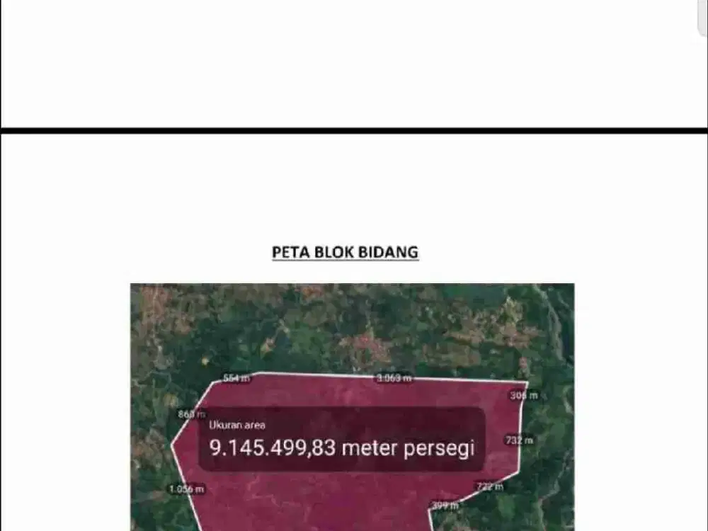 tanah kebun luas murah untuk perkebunan