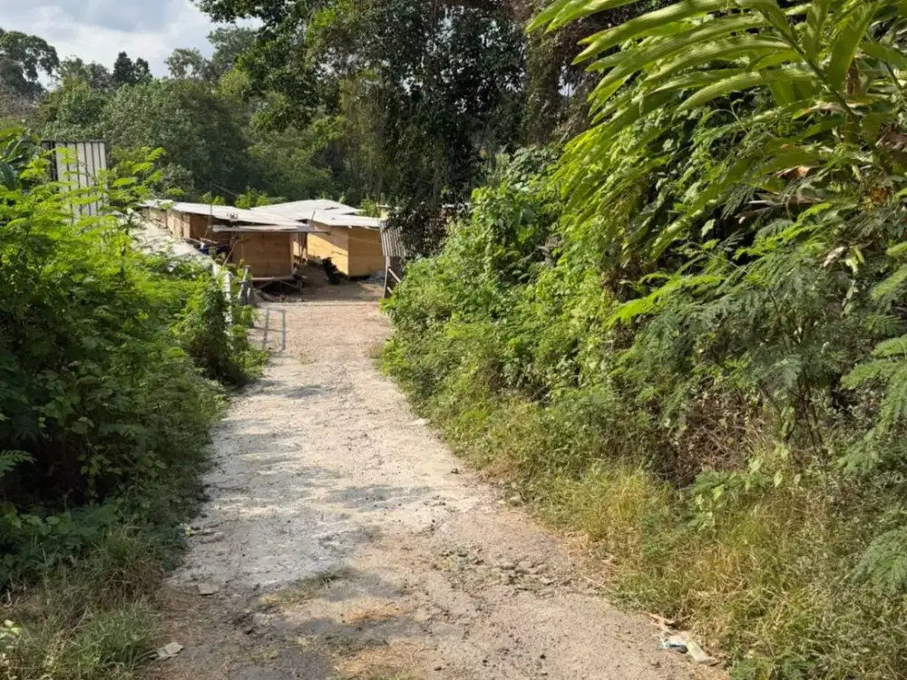 Tanah cepaka munggu tabanan bali