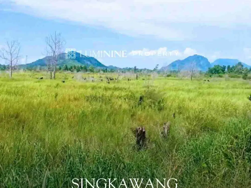DIJUAL TANAH LUAS DI SINGKAWANG, KALBAR (ON)