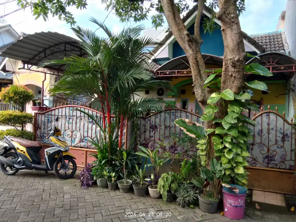 Rumah dikontrakkan per Tahun + sdh ada perabot