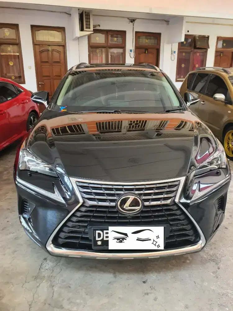 Lexus NX 300 Luxury 2019