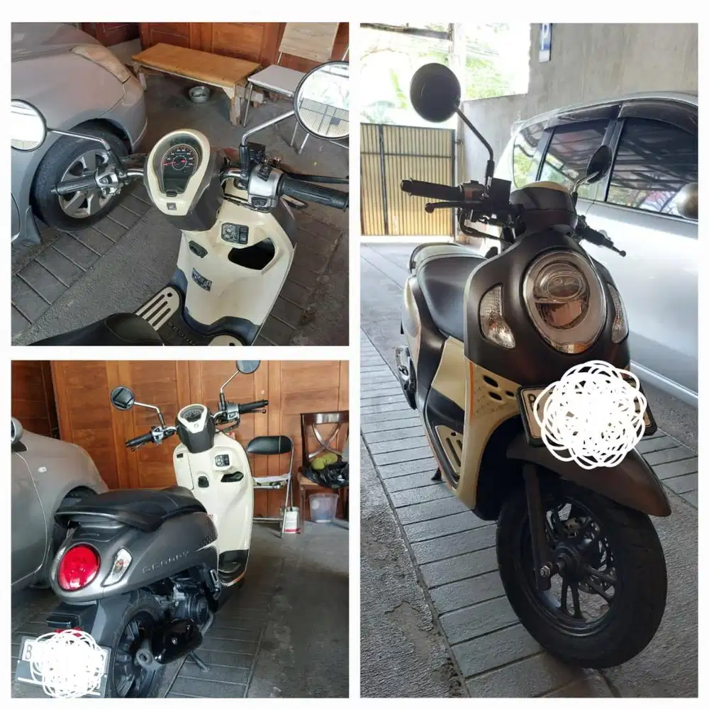 HONDA SCOOPY 2024
