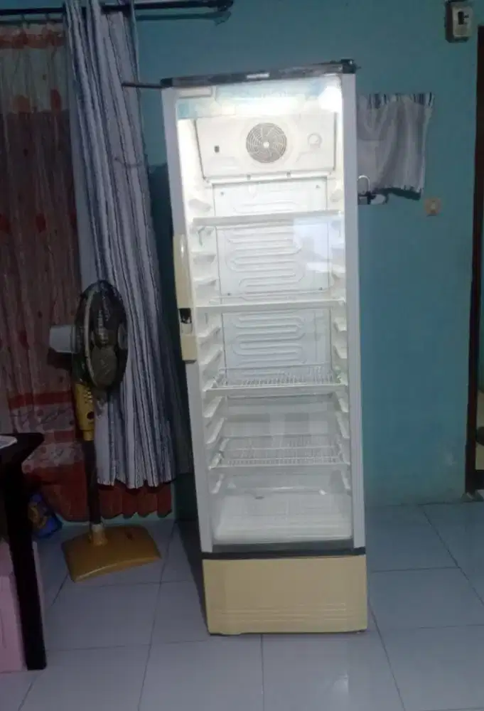 SHOWCASE POLYTRON JUMBO ORI MULUS