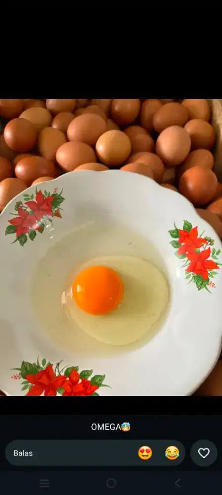 Telur negri omega