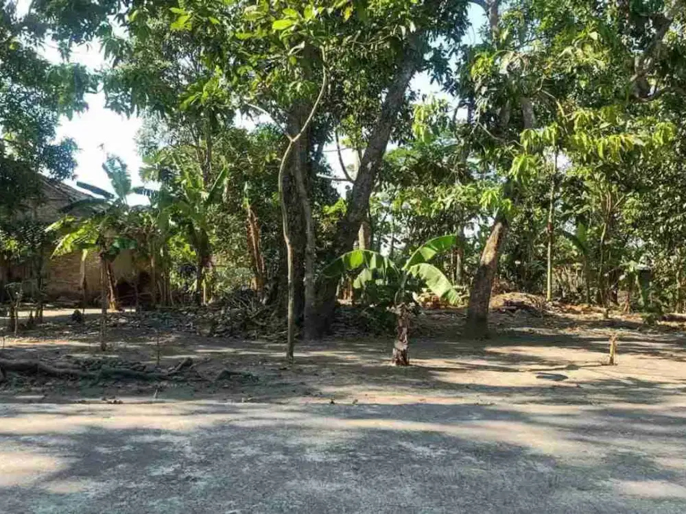 JUAL MURAH TANAH DI CANDEN JETIS BANTUL YOGYAKARTA