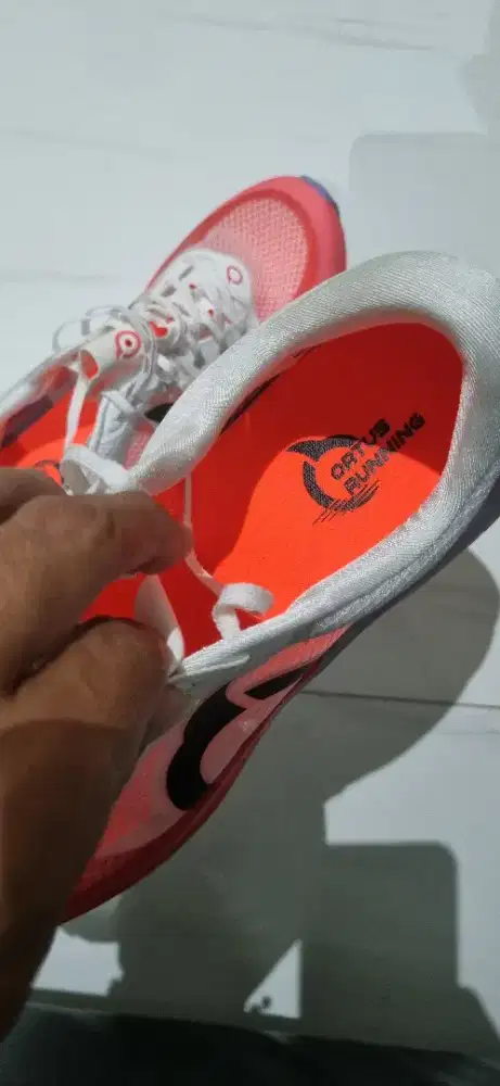 Ortuseight Hyperfuse 3.1