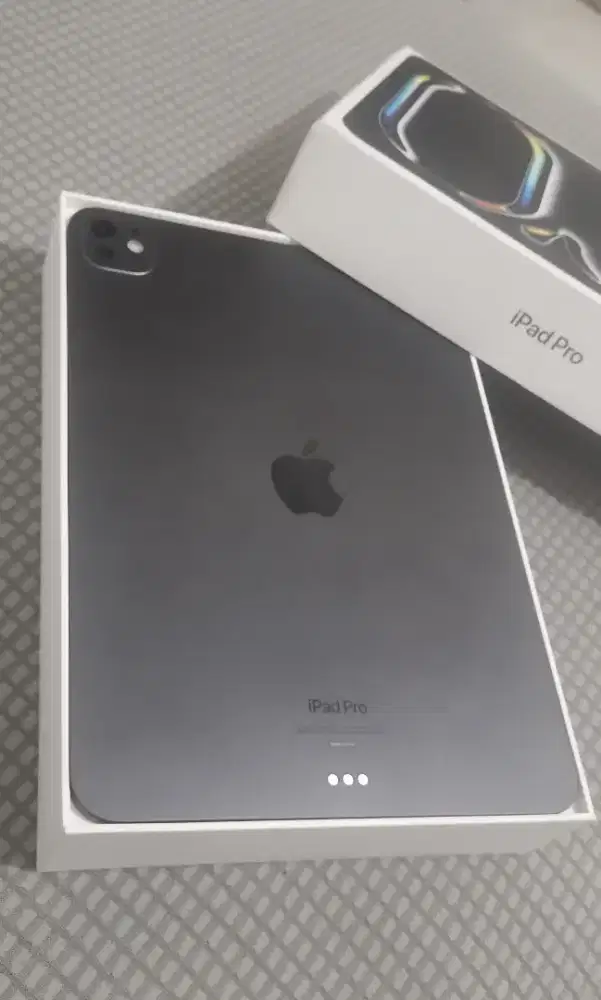 IPAD PRO M4 11 INCH 256GB (eks ibox)
