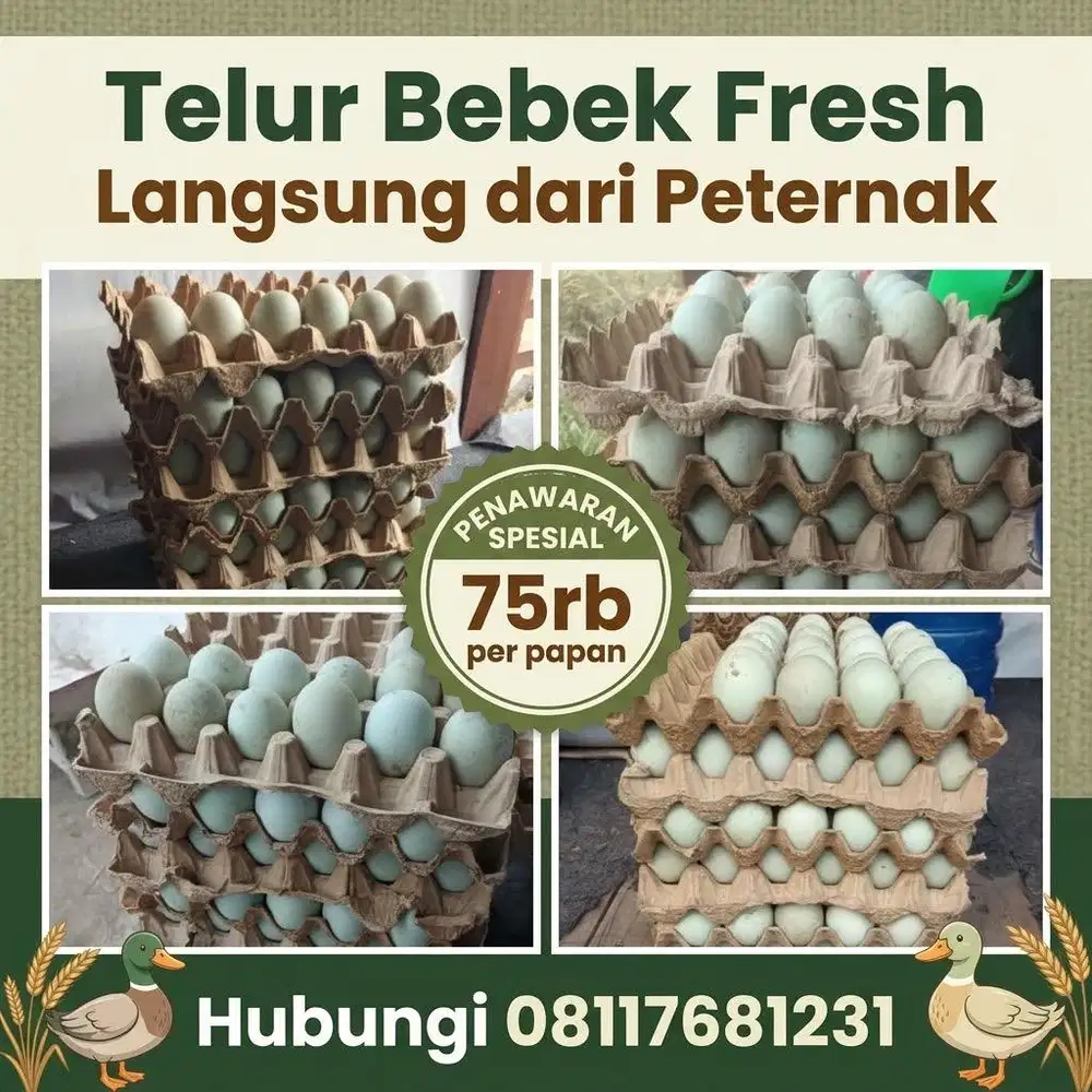 Telur Bebek Fresh Langsung Peternak