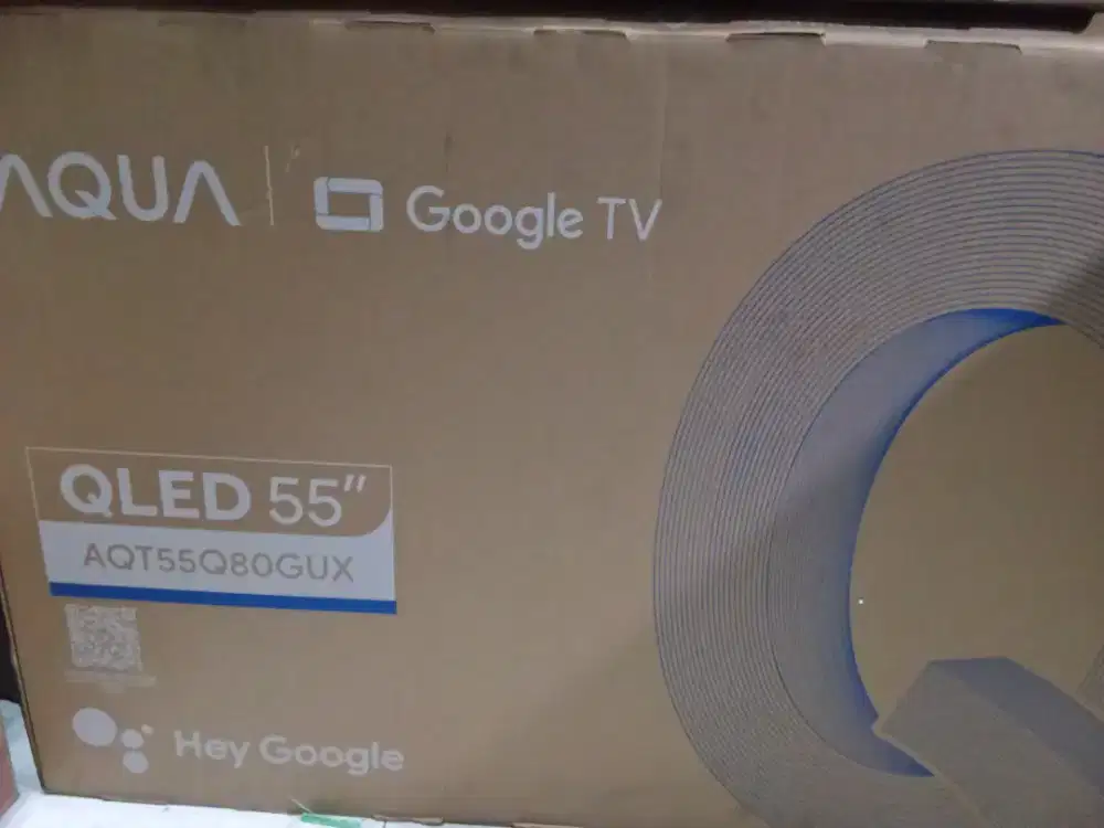 TV Google 55 inchi