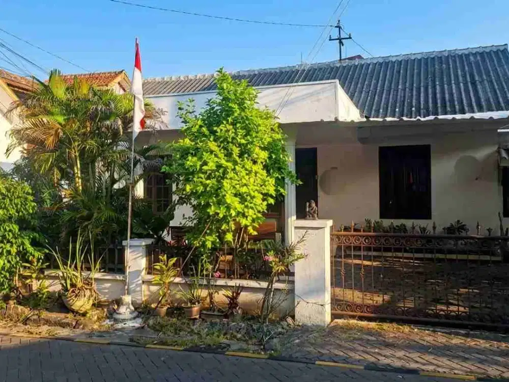 RUMAH LAMA DI JL PLEBURAN SINGOSARI SEMARANG SELATAN