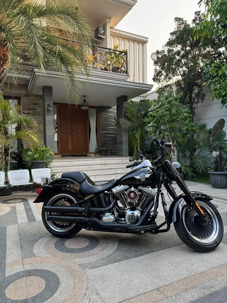 For sale!  Harley - Davidson Softail Fatboy Lo 2015