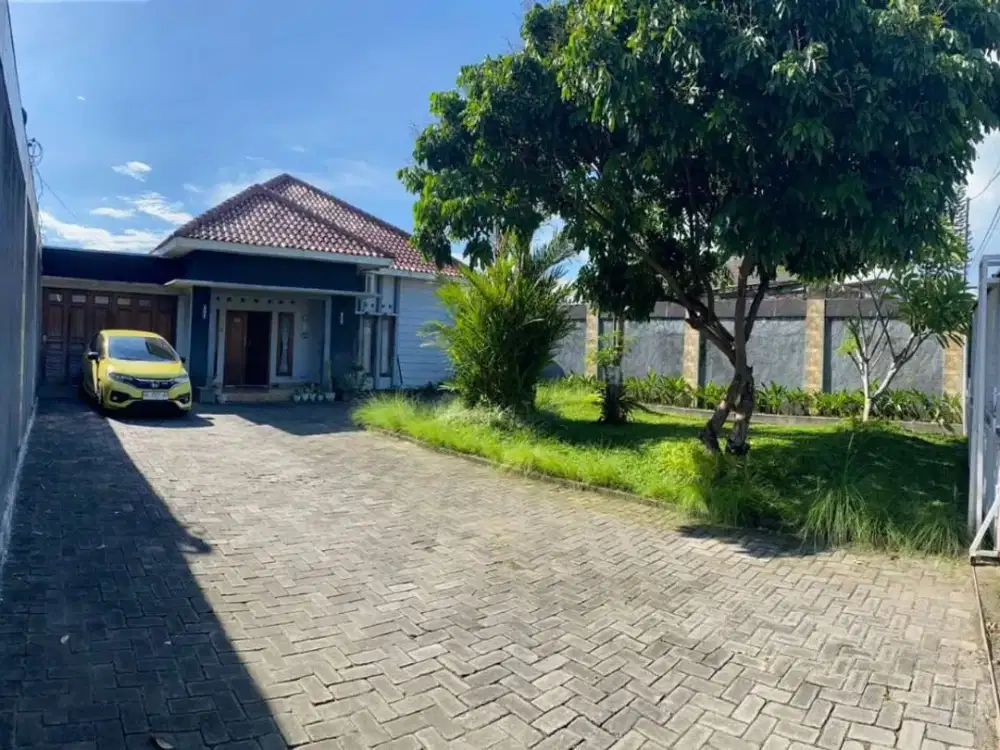 Rumah Tanah luas di pinggir Jalan Aspal Maguwoharjo Sleman