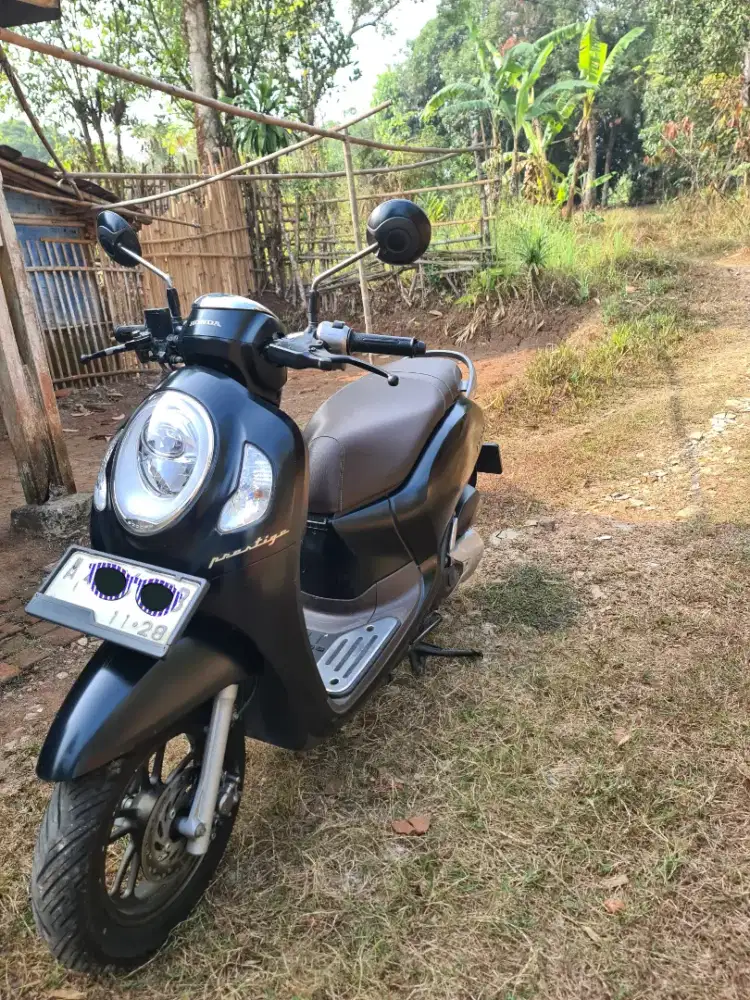 Scoopy Prestige