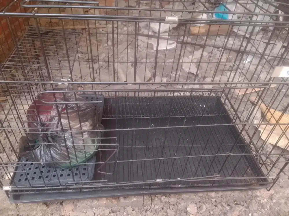 Sangkar kucing ukuran besar dan sangkar besi tingkat