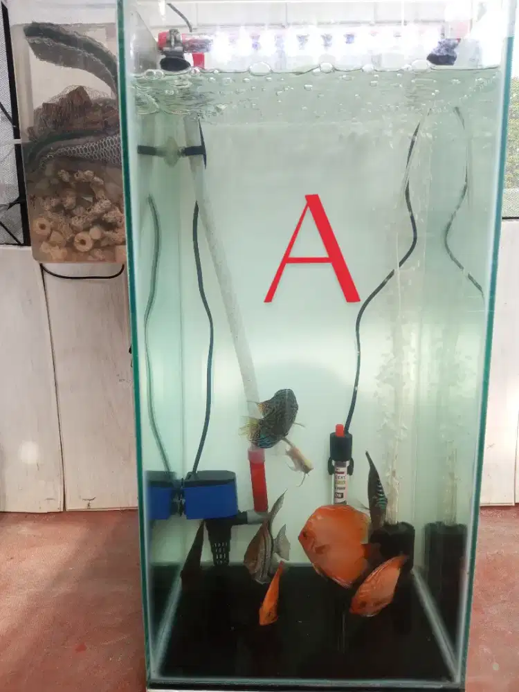 akuarium full set murah