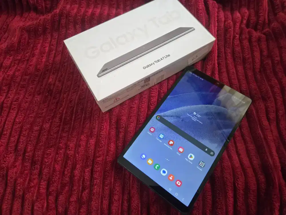 Samsung Galaxy Tab A7 Lite 4G All Operator Mulus Normal