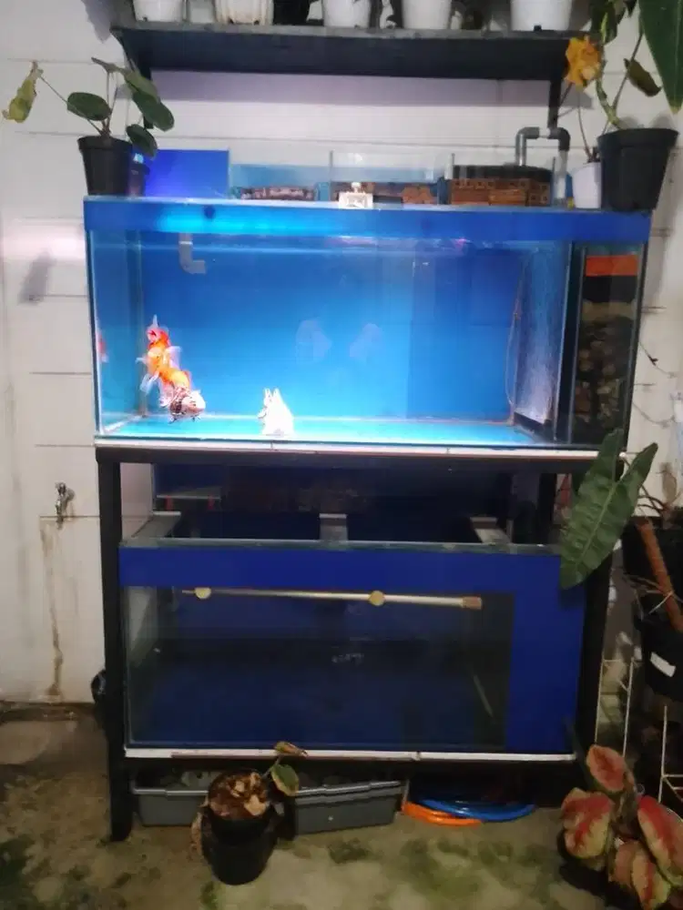 aquarium 2set lengkap tinggal colok