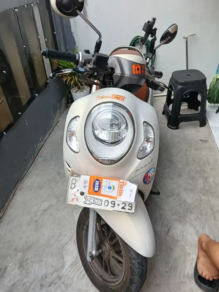 Honda Scoopy deluxe