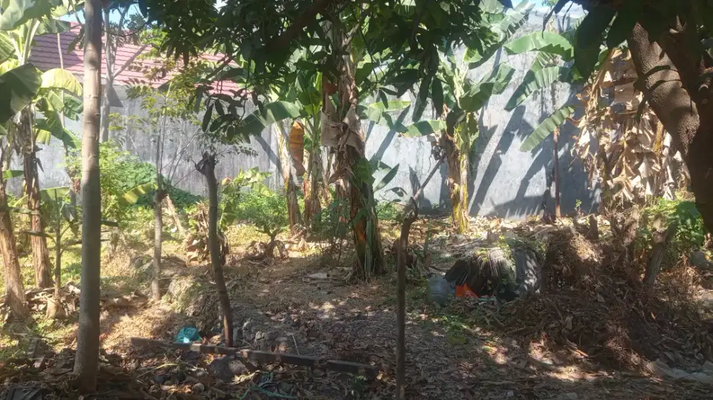TANAH KAVLING BTP BLOK M 69