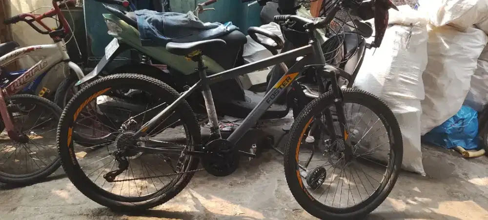 Sepedah gunung Foster