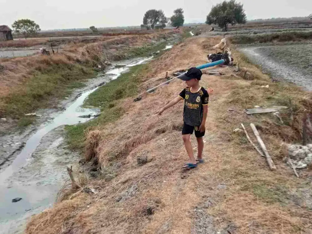 Dijual Tanah Tambak Luas 9160m2 di Duduksampyan Gresik Bentuk Persegi Panjang Posisi Hook dekat Gudang Jiipe dan Tol Trans Jawa