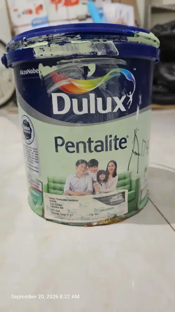 Cat Interior Dulux Pentalite Fun Green Anti Bacterial