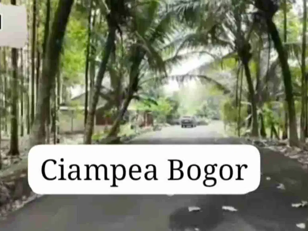Dijual Tanah 5.4Ha jalur pariwisata gunung salak,cihampea bogor