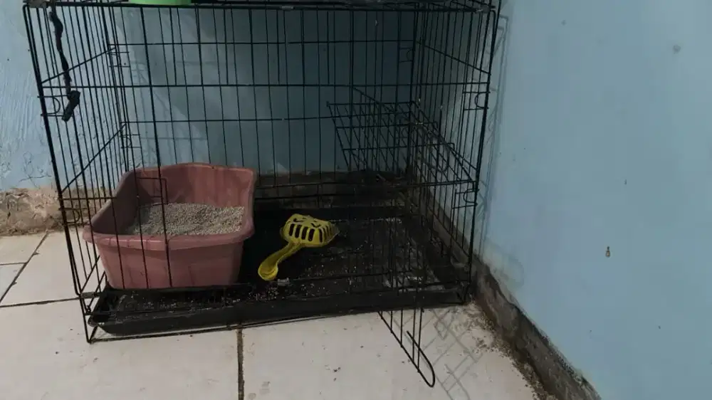 Kandang kucing warna hitam