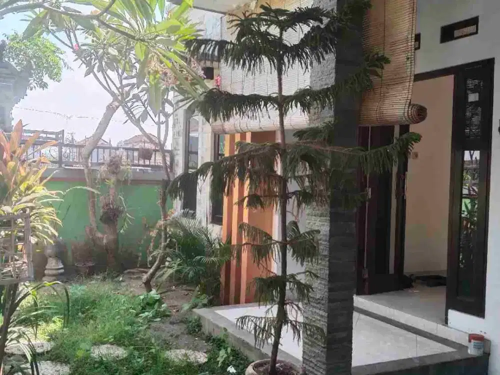 Disewakan rumah mini malis view sawah lingkungan asri