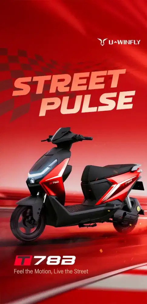 Sepeda listrik uwinfly T78B