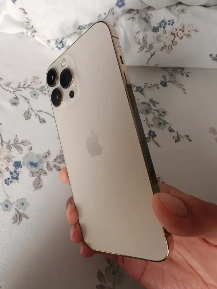 Iphone 13 Pro Max 512 gb Ex Ibox