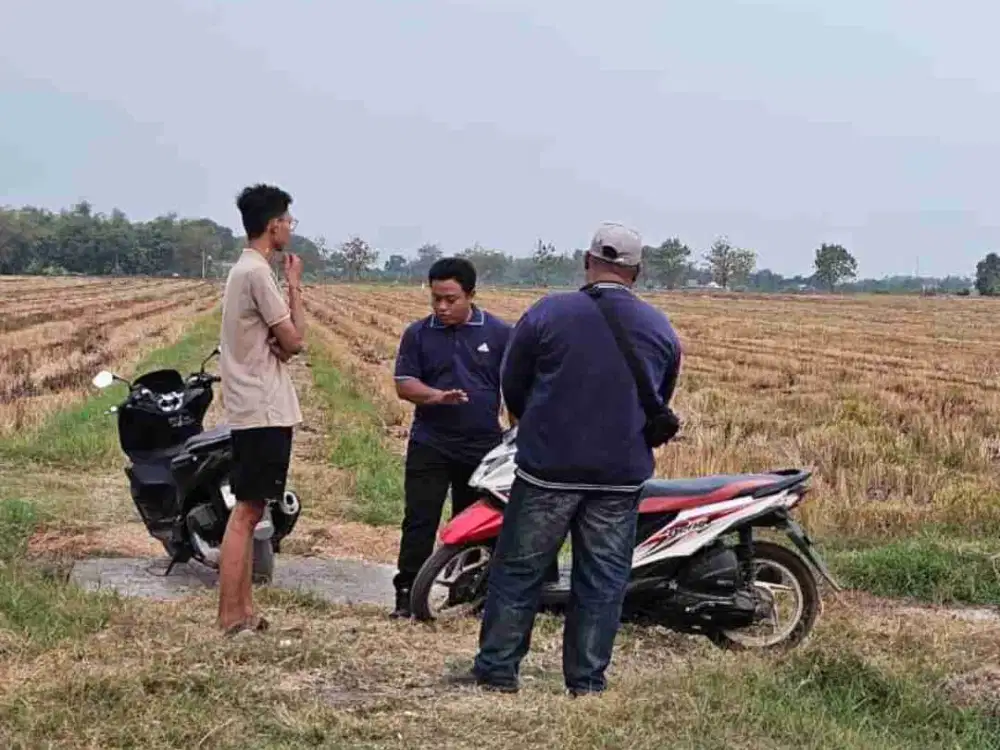 Sisa 100 Unit Tanah Kavling Murah siap Bangun di Mergobener, Tarik, Sda