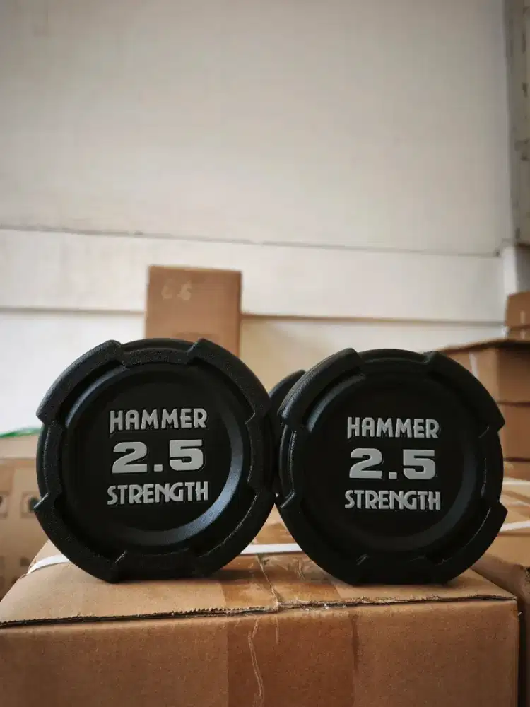 Dumbledore hammer strenght komersial fitness import