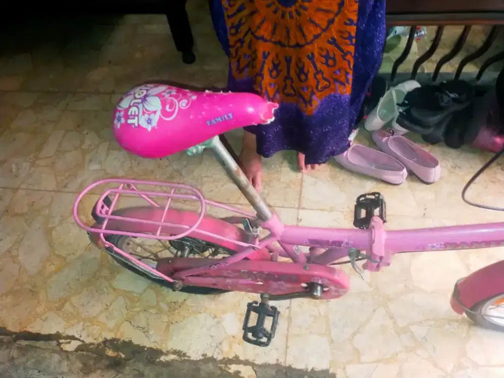Sepeda Anak Perempuan 18 inch Family Viola warna Pink