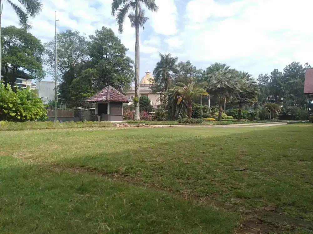 Pasang rumput taman