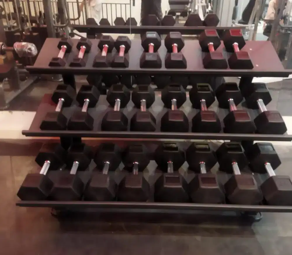Dumbledore set plus rack  Premium Gym komersial