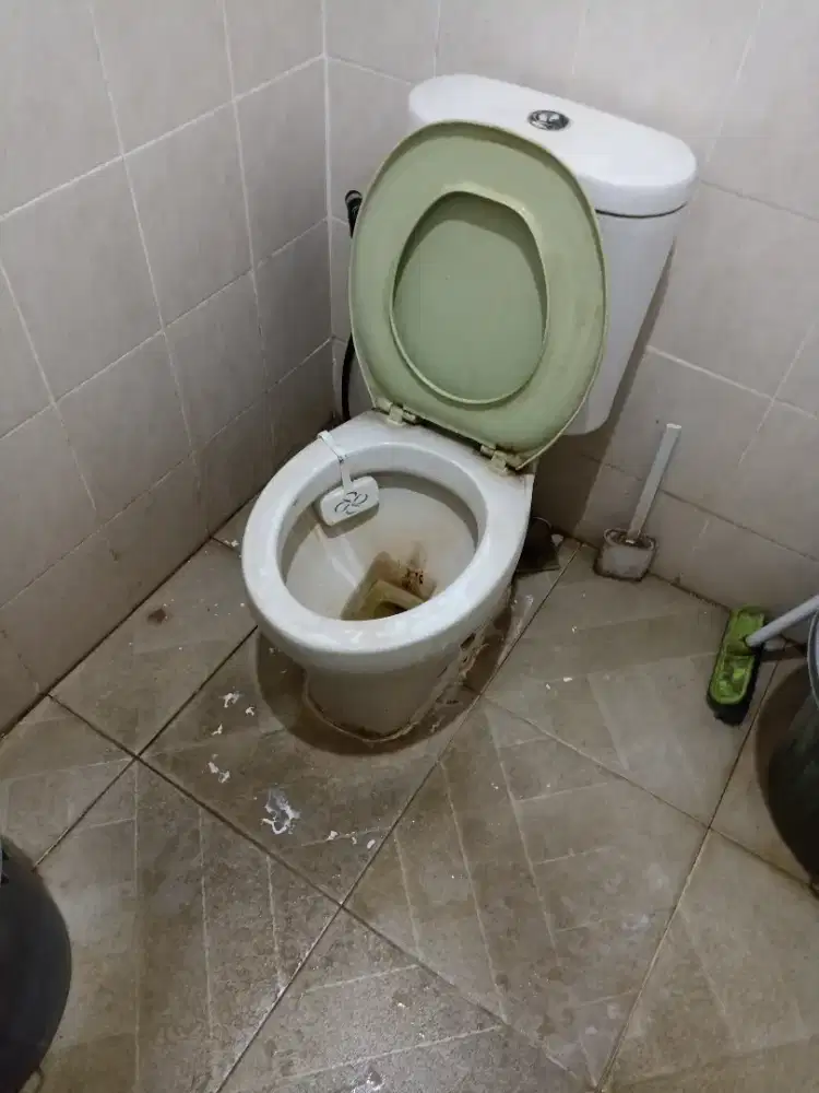 Asisten Rumah Tangga Pulang Pergi