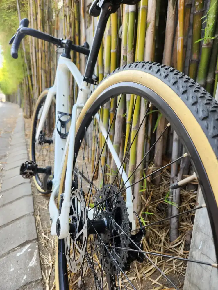 Polygon Tambora G4 (Gravel)