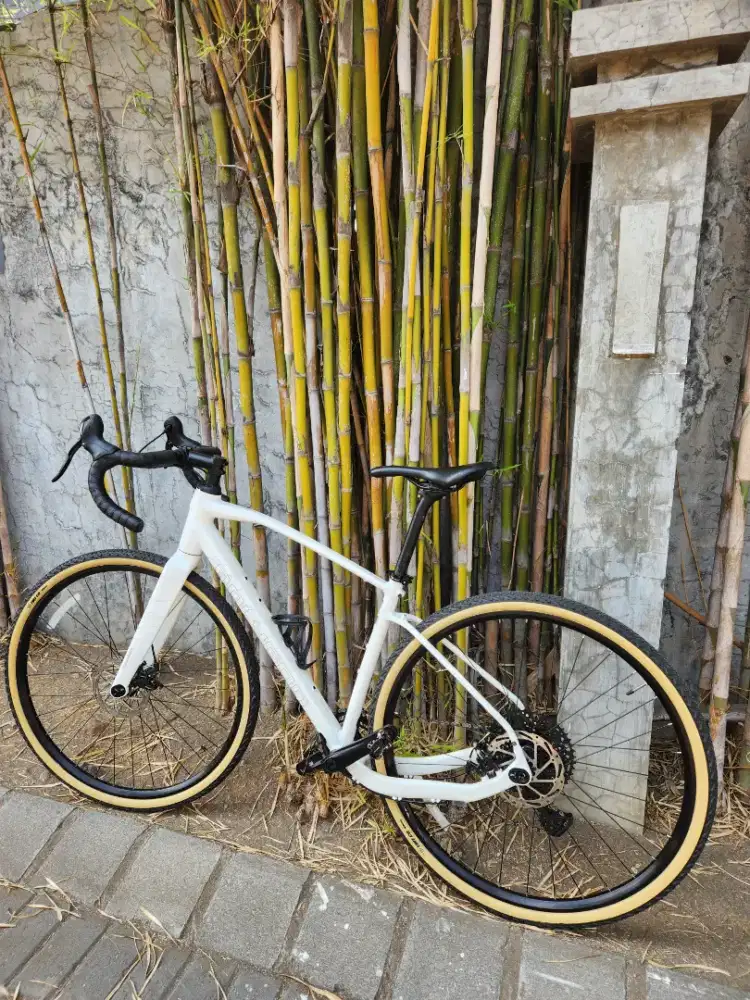 Polygon Tambora G4 (Gravel)