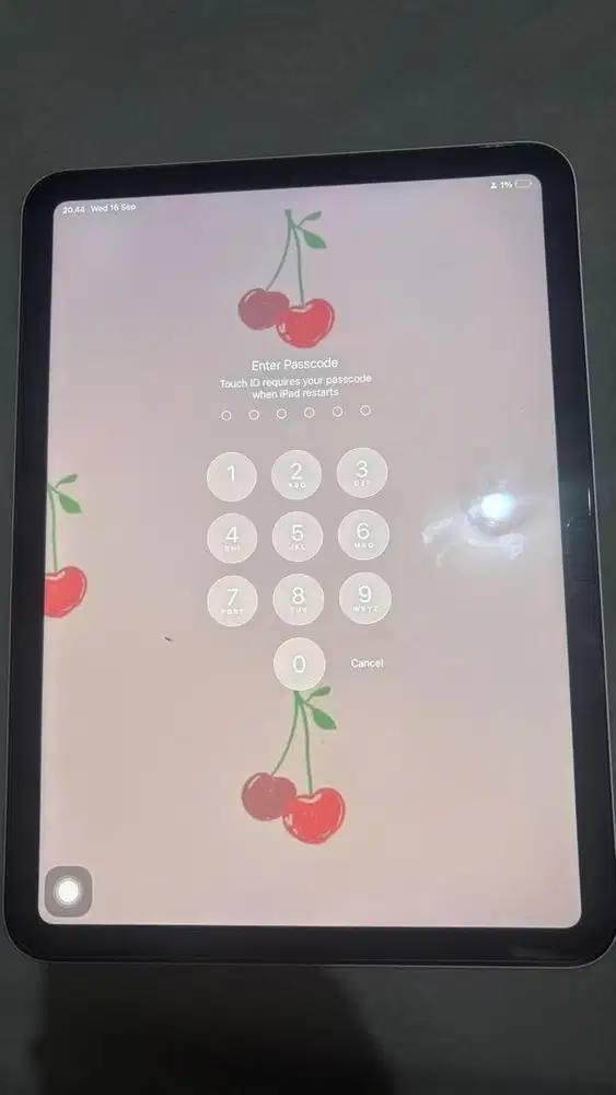 Ipad Gen 10 256GB Wifi Only