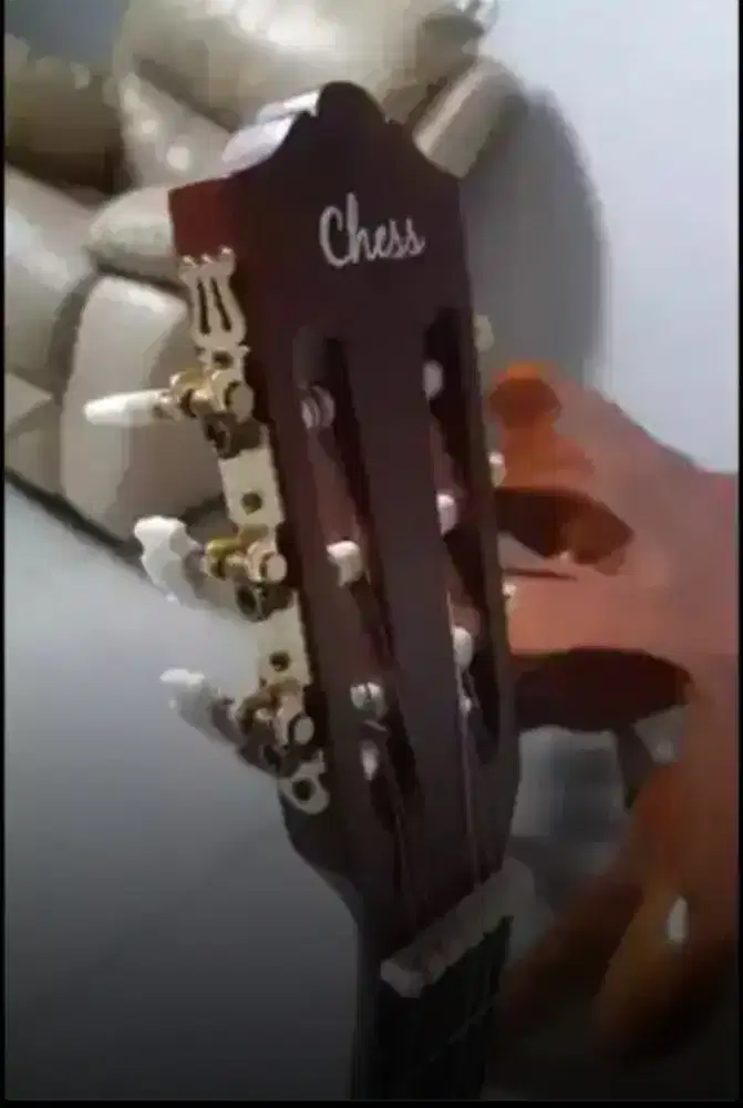 Akustik clasic chees neww