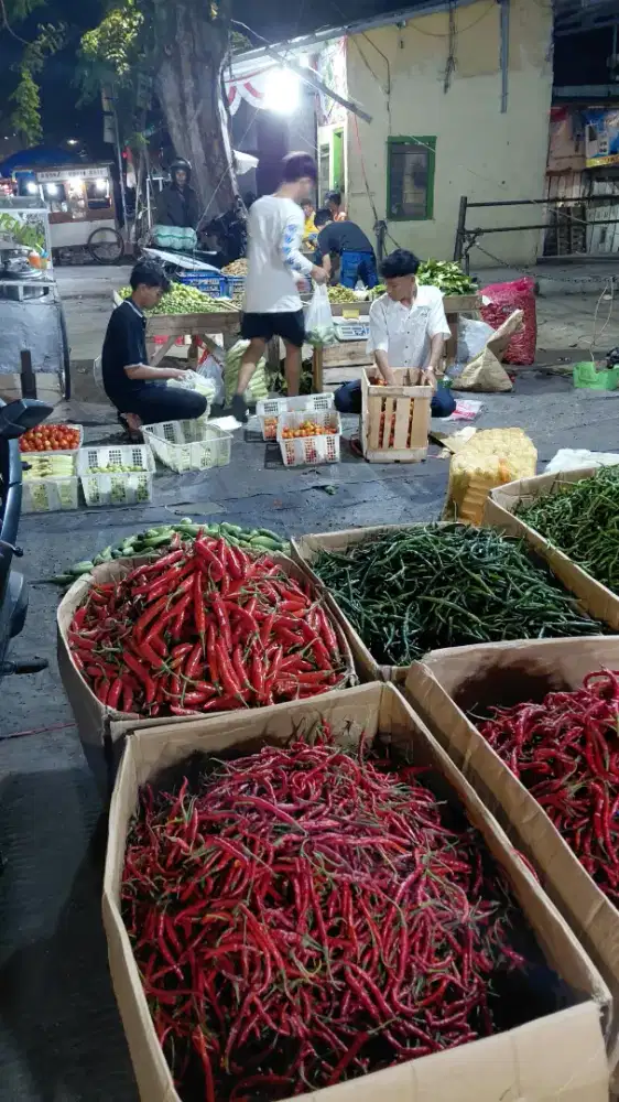 Dibutuhkan helper catering