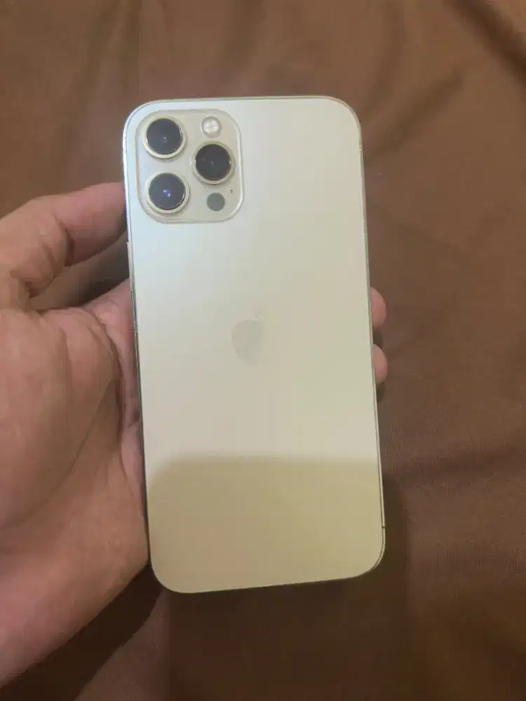 iPhone 12promax regist pramanen