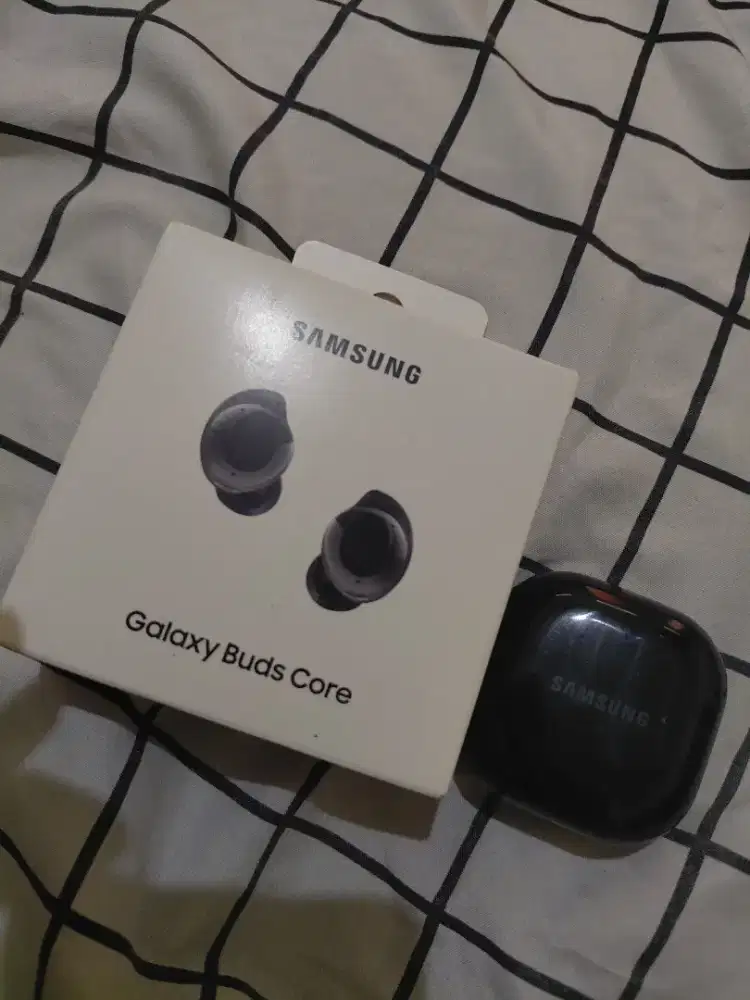 Fs samsung buds core