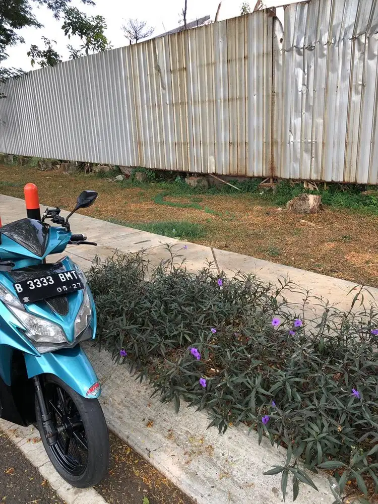 Vario 125 old kzr