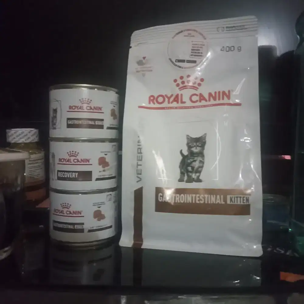 Makanan kucing royal canin