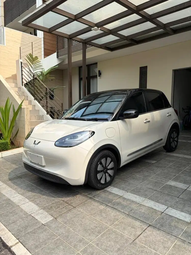 Wuling Binguo Long Range 410km 2024